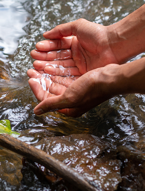 cupped-hands-water-small